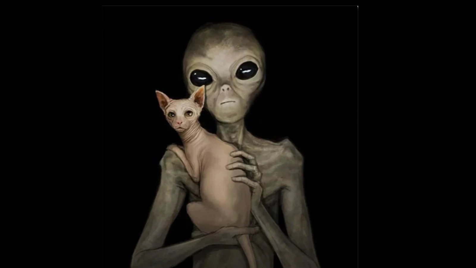 Create the Alien Game prototype within 7 days. cover